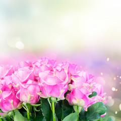 Fototapeta premium Bukiet fioletowych róż świeżych na tle gerden bokeh z miejsca na kopię