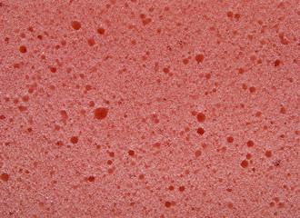 Coral color froth up texture. Sponge bath surface.
