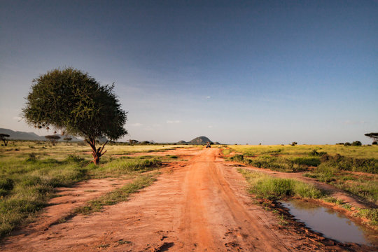 Panorama of a street in the Tsavo East National Park in Africa