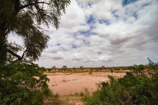 Panorama of the Tsavo East National Park in Africa