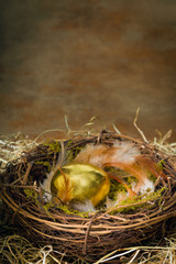 Naklejka na ściany i meble Golden egg in nest