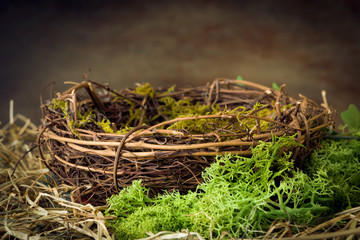Empty nest with moss - obrazy, fototapety, plakaty
