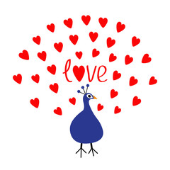 Obraz na płótnie Canvas Peacock Open red heart set tail. Word Love text. Zoo animal collection. Exotic tropical bird. Cute cartoon character. Blue color. Happy Valentines Day. Greeting card. White background. Flat design.