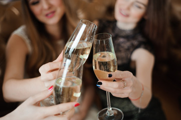 Portrait of happy young friends touching the glasses with each o