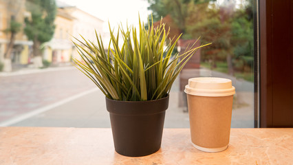 Takeaway cup of hot drink and pot with grass on windowsill
