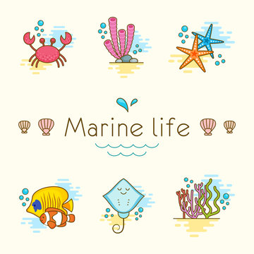 Set of vector illustrations with marine animals. Marine life.
