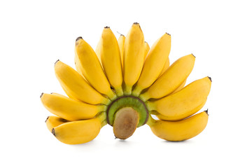 bananas isolated on the white background "Kluai Khai" Banana in