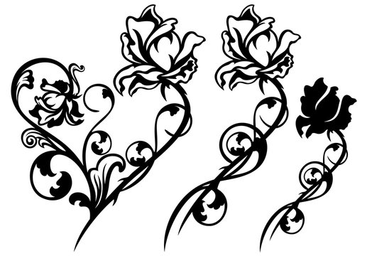 rose flower black and white vector decor design