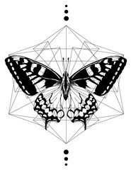 эскиз татуировка бабочка геометрия - obrazy, fototapety, plakaty