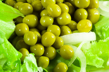Macro view on a salad of green vegetables