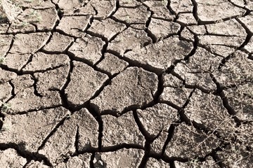 Terrible drought with dry and cracked land, arid soil, no water , global warming