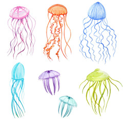 Watercolor underwater jellyfishes