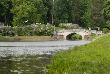 Fototapeta na wymiar Pond and bridge in a summer park