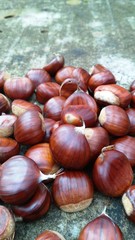 chestnuts 