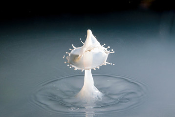 water drop collision