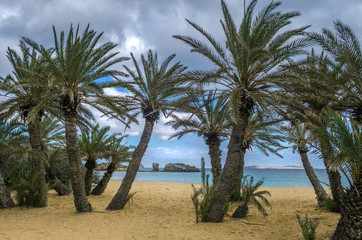 The palm forest of Vai is one of the most popular sights in Crete.It attracts thousands of visitors every year.They come not only for its wonderful palm forest,but also for the amazing sandy beach