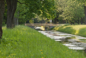 Naklejka premium The creek and the bridge in the park
