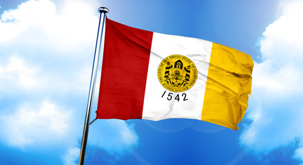 San Diego flag, 3D rendering