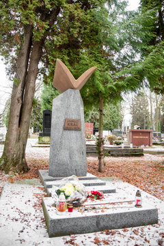 Grave of Janko Kral, Slovakia