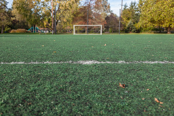soccer field with goal © Leslie C Saber
