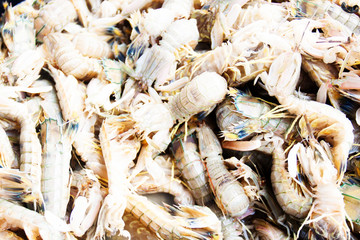 fresh live crayfish closeup in market