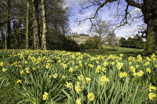 Springtime at Cannon hall, Barnsley, Yorkshire