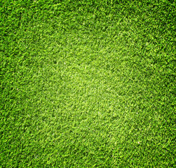 Obraz premium grass