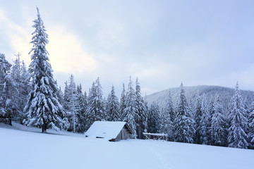 Wooden hut stand in the forest.