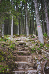 hiking path in the mountains
