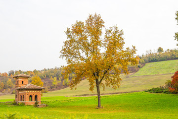 The small church and the tree in the meadow in the country side in autumn