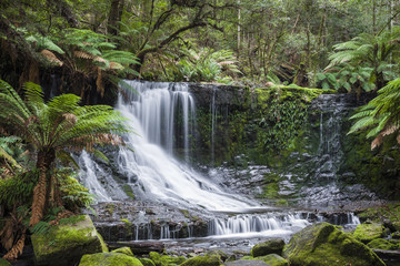 Obraz premium Russell Falls, Mount Field National park, Tasmania, Australia