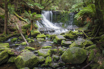 Russell Falls, Mount Field National park, Tasmania, Australia