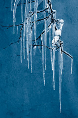 Icicles on a dark background. Frozen water.