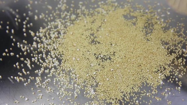 Amaranth being popped in a  pan close up 