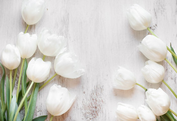 White tulips on wood background