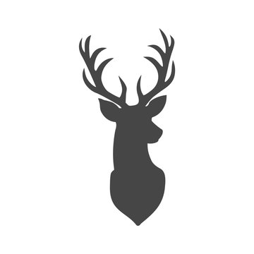Deer head illustration vector - Illustration