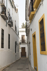 Cordoba (Andalucia, Spain): street