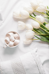 Spring flowers tulips with cacao and white pillows