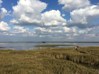 View from a watchtower