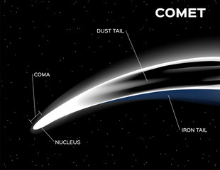 comet anatomy vector © gritsalak
