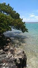 Fototapeta na wymiar Crystal Clear Waters of Florida Keys