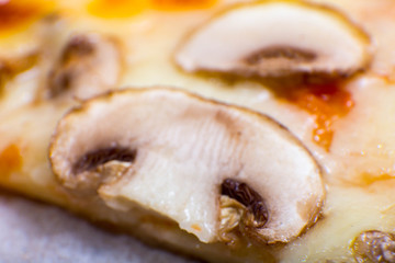 Four taste pizza with pepperoni cheese mushrooms and becon useful for background