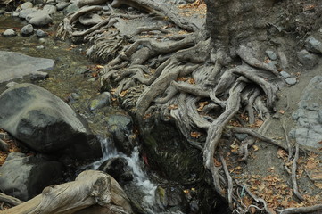 Hiking trail along the river to the waterfall Millomeris, in the mountains in Cyprus
