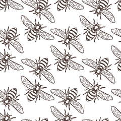 Vector seamless vintage pattern with linear bee. Organic honey background. Concept for honey package design, label, wrapping, fashion prints.