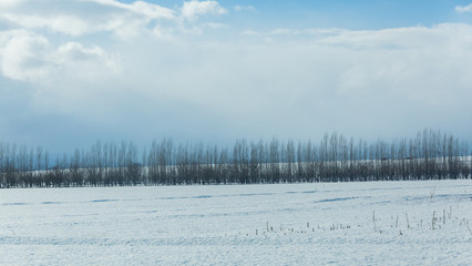 Images from snowy roads in winter
