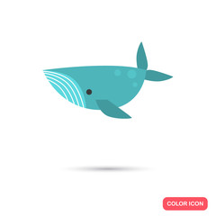 Whale color flat icon