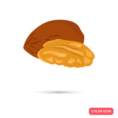 Pecan nut color icon in cartoon design