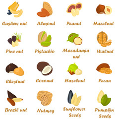 Set of color nuts icons in cartoon design