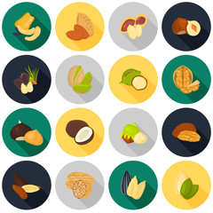 Set of color nuts icons in cartoon design