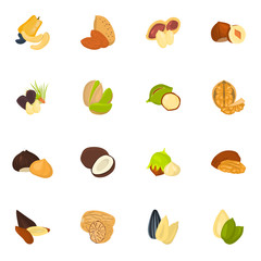 Set of color nuts icons in cartoon design